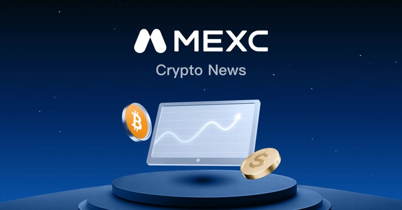 Top crypto exchanges overview