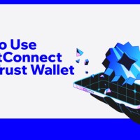 First steps with a decentralized wallet for crypto