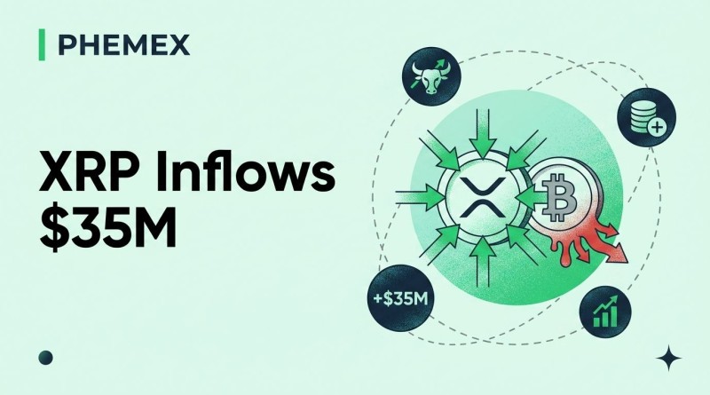 What the Ripple World Coin Index Means for Your Crypto Strategy Today The ripple world coin index shows where XRP sits among the crypto giants. A clear market snapshot for traders who want calm over clutter.