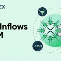 The Ripple World Coin Index: a calm snapshot without noise
